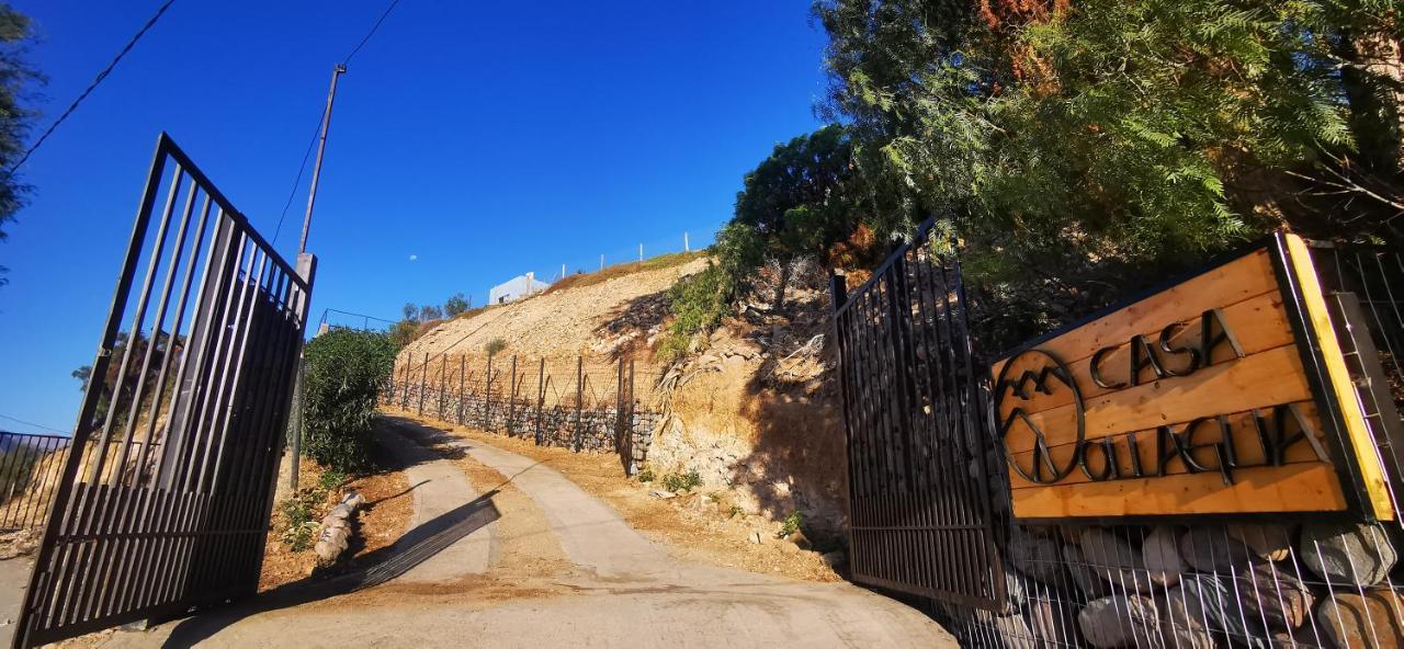 מלון Vicuña Casa Ollagua מראה חיצוני תמונה